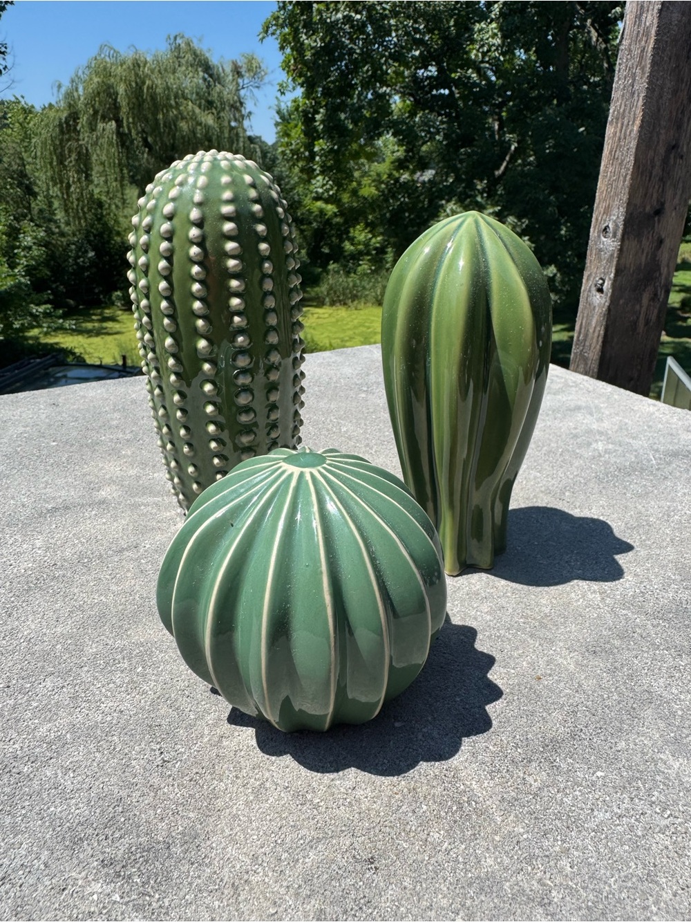 CACTI TRIO